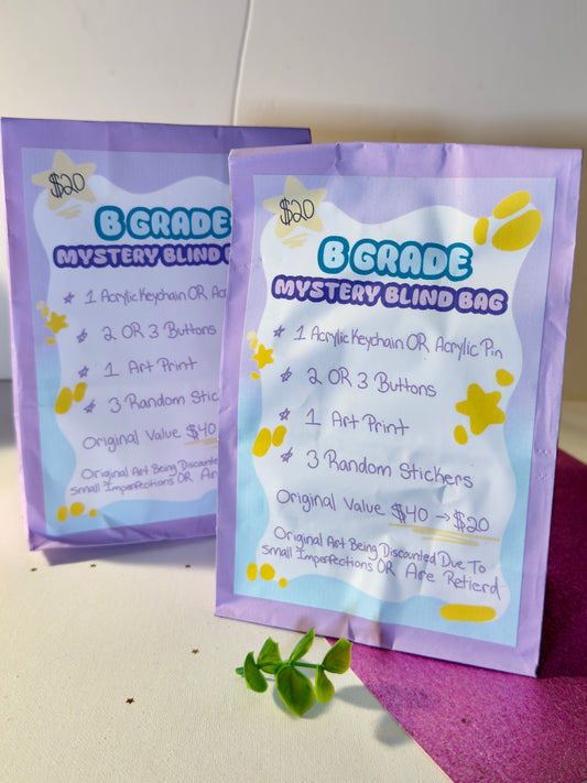 * B GRADE* Mystery Bind Bag